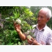 nong-dan-ca-mau-trong-mang-cau-canh-bien