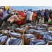 Seafood production reached 5,964 thousand tons in the first nine months of 2019, up 5.4%