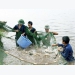 Vinh Phuc: aquaculture output up nearly 5 percent