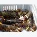 Price of commercial lobster increases by 200-300 thousand VND per kilogram