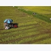 Land policies restrain Vietnam’s agricultural development