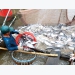 Hậu Giang applies IT for seafood traceability