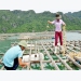Ứng dụng công nghệ trong nuôi hàu Thái Bình Dương tại Phú Yên
