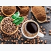 Vietnam exports first batch of coffee to EU with zero tariffs