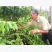 Việt Nam’s first batch of coffee under EVFTA exported