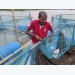 Why cage-based aquaculture is all the rage in India