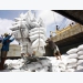 Vietnamese white rice price highest in world