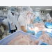 Pangasius prices slightly increased in August