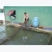 Làm giàu từ nuôi cá lồng bè tại Lâm Đồng