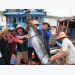 Tuna exports to China increase sharply