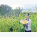 Vietnamese agricultural product journey of two young women
