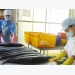 Xuất khẩu thủy sản phục hồi tích cực