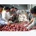 Vietnam aims to become world’s farm produce granary