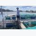 Xây dựng thương hiệu cá lồng ở Duy Ninh