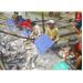 Tổng Giá Trị Cá Tra Xuất Khẩu Ở Đồng Bằng Sông Cửu Long Đạt 1,6 Tỷ USD