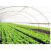 5 tiêu chí về vùng nông nghiệp ứng dụng công nghệ cao