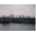 Không liên lạc được với 2 tàu cá của Bình Định xin vào Philippines tránh bão Merlo