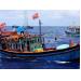 Một tàu cá của ngư dân Bình Định mất tích 12 ngày