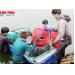 Tiến hành thu hoạch 50 tấn cá mú tại Nghi Xuân