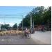 Về Phan Rang - vùng đất xe cộ nhường đường cho cừu và bò