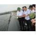 huong-den-phat-trien-ben-vung-nghe-nuoi-tom-tren-cat