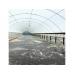 Nursery phase in shrimp farming, benefits beyond EMS