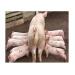 Targets for weaned piglet feed intake
