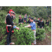 day-nghe-chuan-tao-ra-nong-san-an-toan