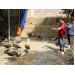 NTM Bắc Ninh: Nuôi chim quý lợi nhuận cao