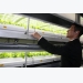 Unused Tokyo tunnel gets new life as underground vegetable farm