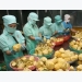 Vietnam’s farming exports hit new record of US$36 billion