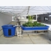 How to set up an aquaponics system