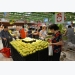 Record fruit-vegetable exports expected