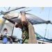 Vietnam’s seafood industry reacts to ‘yellow card’ from EU