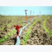 Hi-tech farming courses in Israel benefit Vietnamese students