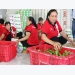 Finding solutions to brand Vietnamese agricultural products to be not 'robbed' abroad