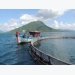 Vietnam poised to become top player in ocean aquaculture