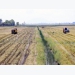 Kiên Giang rice output exceeds full-year target