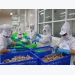 CPTPP: Thủy sản có nhiều cơ hội?
