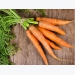 Marketing and presentation of your carrot crop