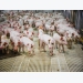 Enzyme use may boost piglet gut health, coproduct digestion