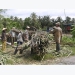 Sugarcane farmers suffer loss of $643 per hectare