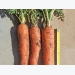 Deeper roots, better carrots