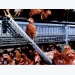 Egg producers discuss cage-free production challenges