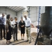 Pyrolysis technology improves coffee quality