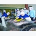 Vietnam says no to IUU fishing to lift EU sanction