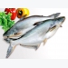 Diễn biến thị trường cá tra - Giá giảm, xuất khẩu giảm