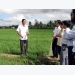 Việt Nam's rice crowned the best at 2019 World Rice Conference