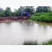 Khôi phục phát triển thủy sản sau mưa lũ