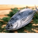 Xuất khẩu cá ngừ tháng 10 tiếp tục giảm